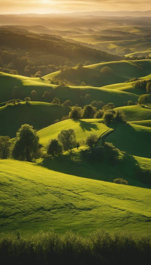 Um pôr do sol sobre um vale verdejante, com longas sombras que se estendem pelas colinas.