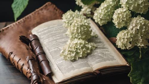 A fresh hydrangea bloom pressing in an old leather-bound botany journal.
