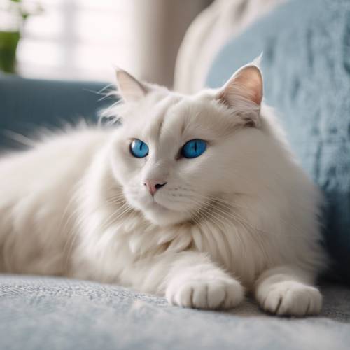 Un gato Ragdoll blanco descansando perezosamente en una acogedora y contemporánea sala de estar, con sus ojos azules medio cerrados de satisfacción.