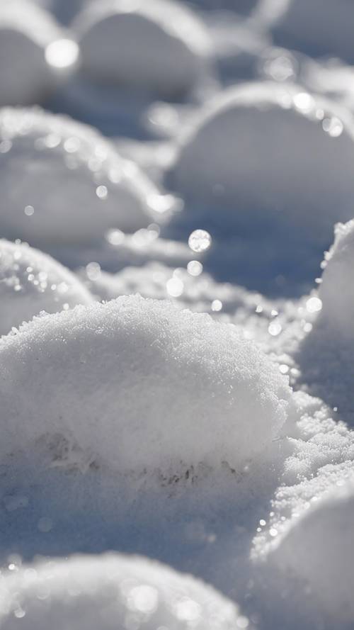 近距离观察新落的雪，突显出其有纹理的白色表面。