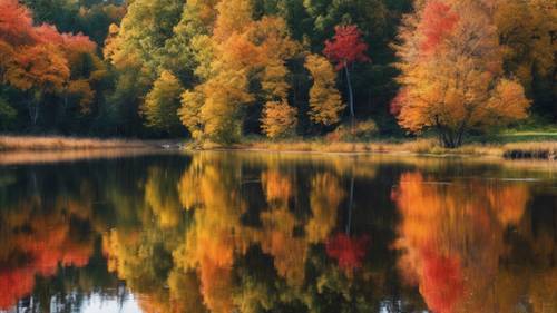 A river reflecting the vibrant colors of September fall foliage Шпалери [771c04017fcb4d9fb427]