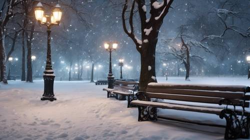 Blick auf einen ruhigen, schneebedeckten Park in der Weihnachtsnacht, gesäumt von schwarzen Eisenbänken und Laternenpfählen.