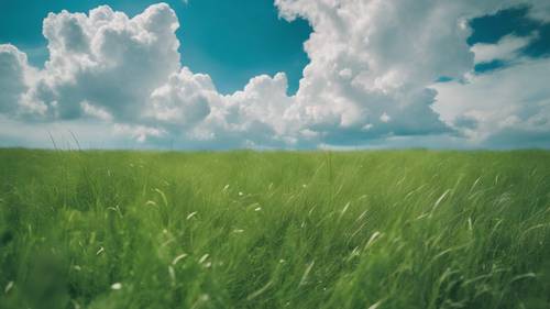 A motivational quote appearing like cloud formations amidst a clear blue sky over a green grasslands.