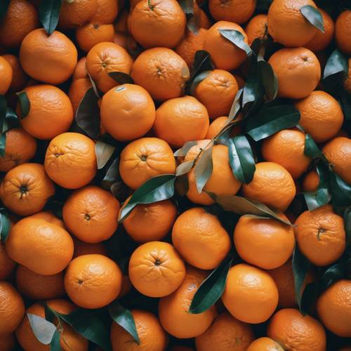 Um grupo de laranjas artisticamente dispostas em uma cesta.