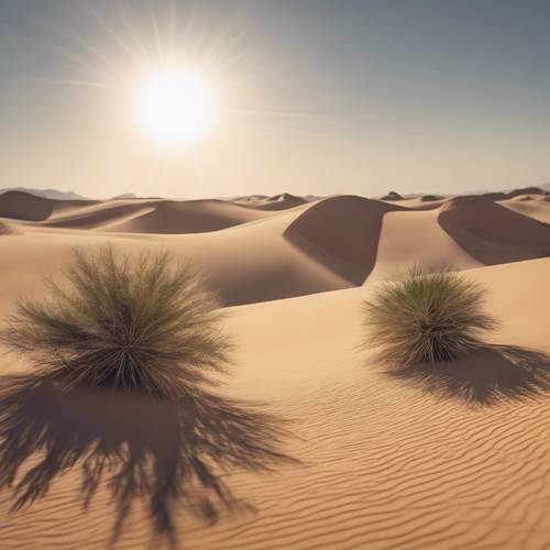 A tranquil dream scene of a silent, sundrenched desert expanse. Tapeta [3f2e553599754b7ab9c7]