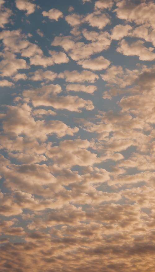 Streifen beiger Cirrocumulus-Wolken ziehen kreuz und quer über den Abendhimmel.