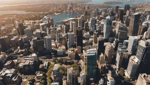 An aerial view of Sydney's skyline on a sunny day Kertas dinding [4d972258d92d402e967e]