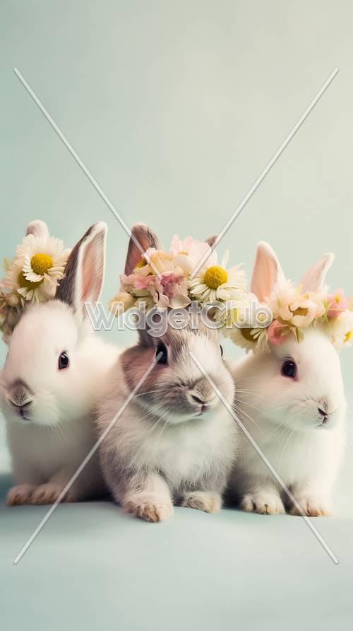 可愛兔子上的花冠