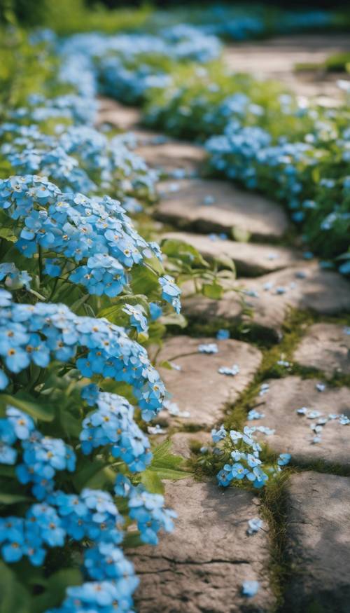 Un antiguo camino de piedra cubierto de nomeolvides azules, un recuerdo de amor en un tranquilo jardín.