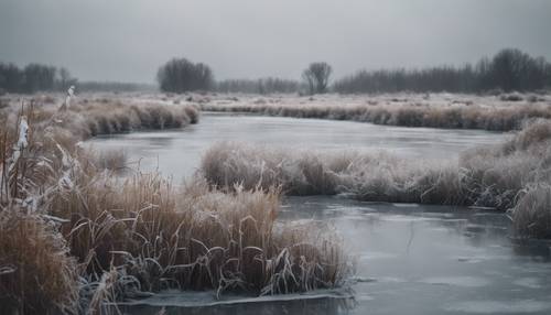 Un marais gelé en hiver sous un épais ciel gris.