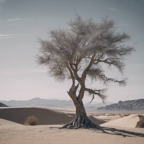 Ein grauer Baum, der fest inmitten einer kargen, windgepeitschten Wüstenlandschaft steht.