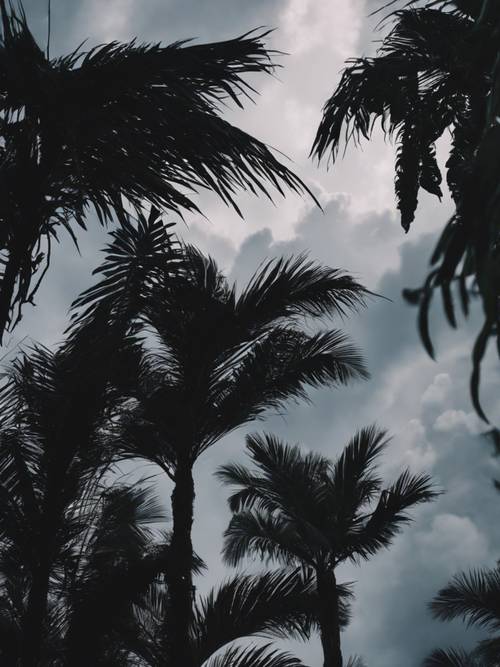 어둡고 검은 뇌우가 있는 하늘을 배경으로 열대 식물의 실루엣입니다.