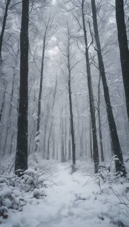 Uma densa floresta japonesa durante uma forte nevasca, com neve cobrindo os galhos.
