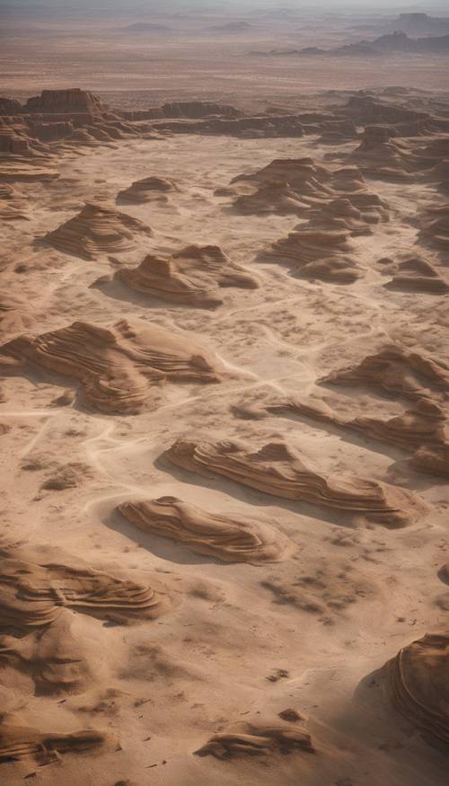Uma vista aérea de um deserto, sua vasta extensão intocada, exceto pelas ocasionais formações antigas de arenito desgastadas pelo tempo.