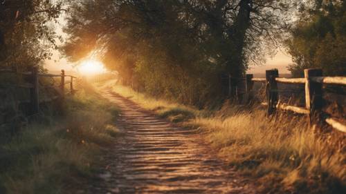 Un chemin rural menant à un lever de soleil, avec la phrase superposée « Tout ce que vous voulez est de l&#39;autre côté de la peur ».