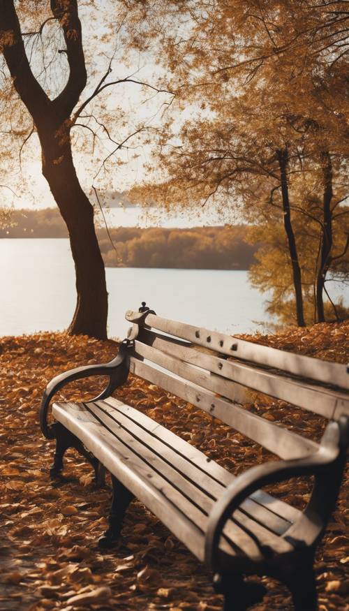 Sessiz bir Şükran Günü sabahında, göle bakan boş bir park bankının atmosferik görüntüsü.