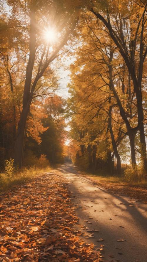 Wiejska droga w stanie Michigan pokryta jesiennymi liśćmi, a zachodzące słońce rzuca długie cienie.