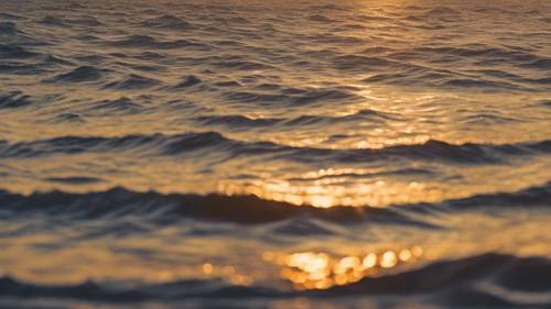 The golden sun setting on the horizon above a calm ocean, the calming scene carrying the phrase 'Times and conditions change so rapidly that we must keep our aim constantly focused on the future.'.