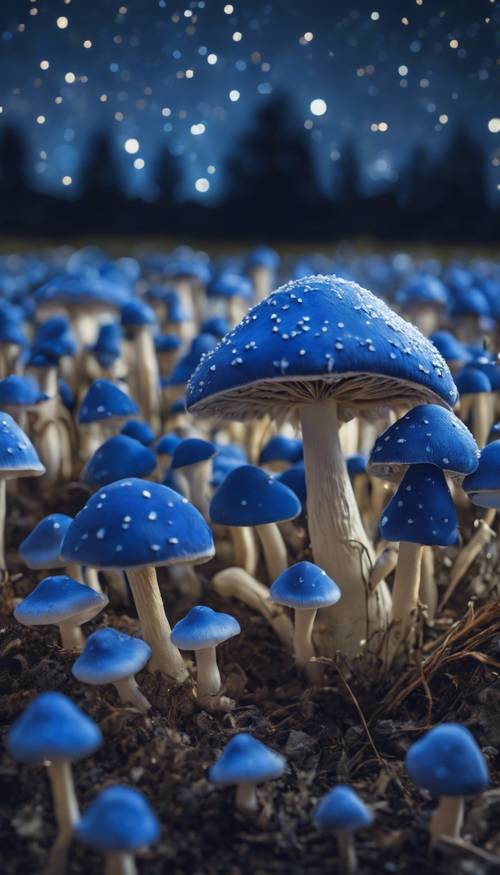 A field filled with blue mushrooms under a clear, starry night sky. Tapet [58bf1cd7b6904cbe95ec]
