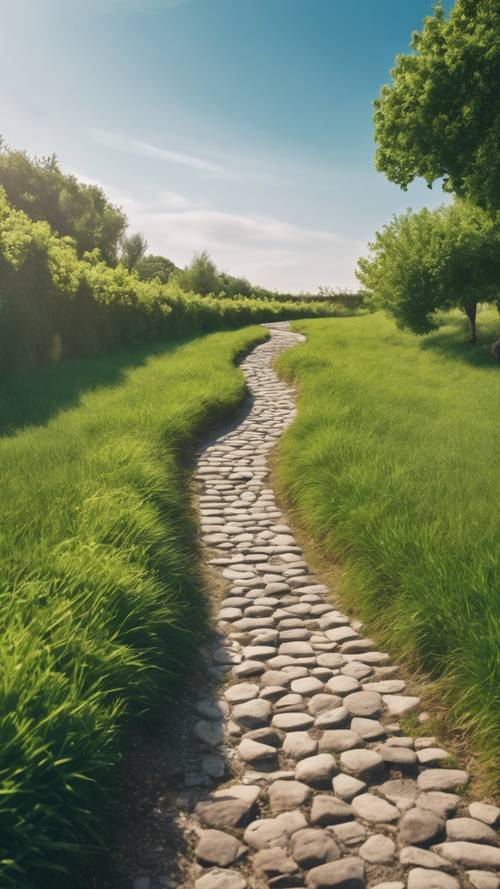 A clear blue sky over an aesthetic cobblestone pathway winding through lush green countryside