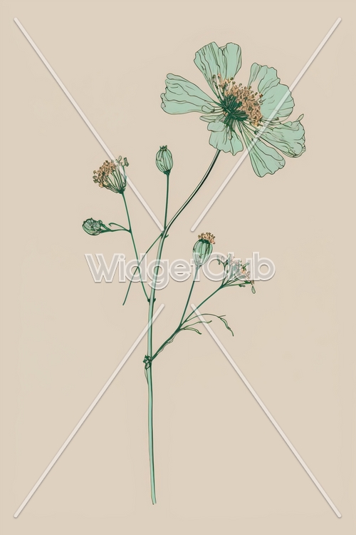 Flower Wallpaper[350f86d0112f42529c8b]