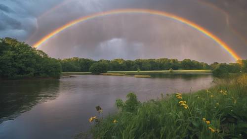 A photo capturing the moment of a rainbow appearing after a rainfall.