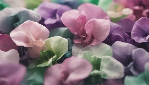 Malarska paleta odcieni różu, fioletu i zieleni inspirowana kwiatami groszku cukrowego.