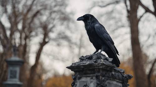 Ein einsamer Rabe thront auf einer verfallenen Statue eines gebrochenen Herzens auf einem Friedhof.