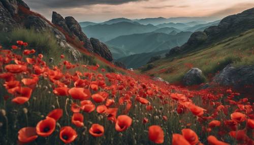 A mountain landscape filled with myriad red poppies in full bloom.