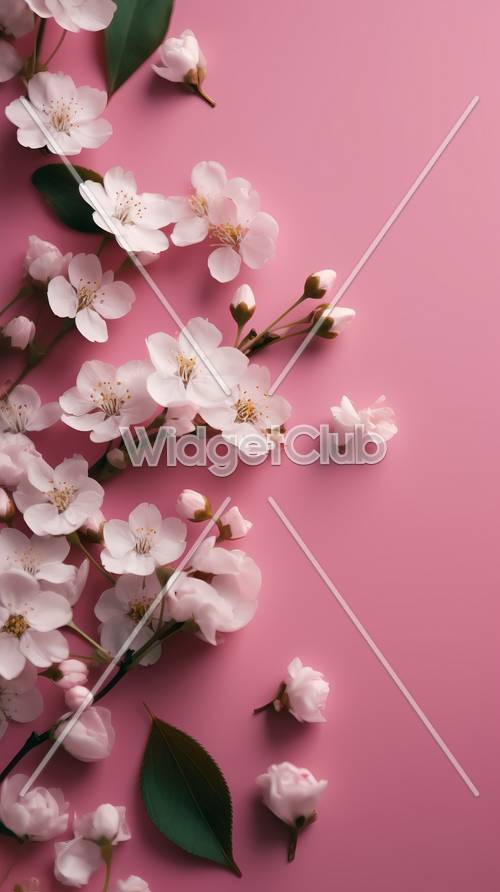 春天的粉色花朵