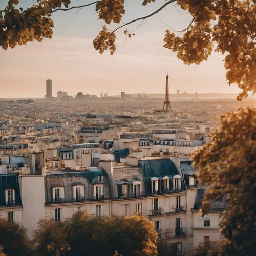 A view of the Paris skyline from Monmartre hill at sunrise.