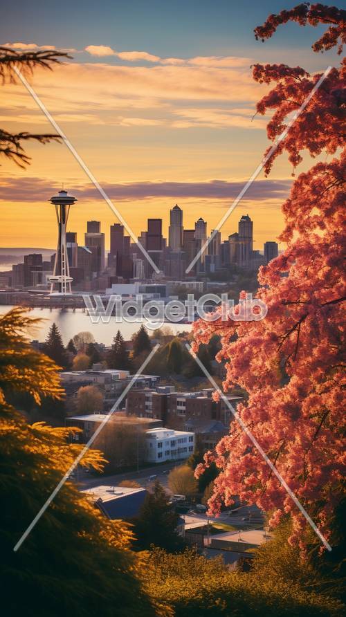Zachód słońca nad panoramą Seattle