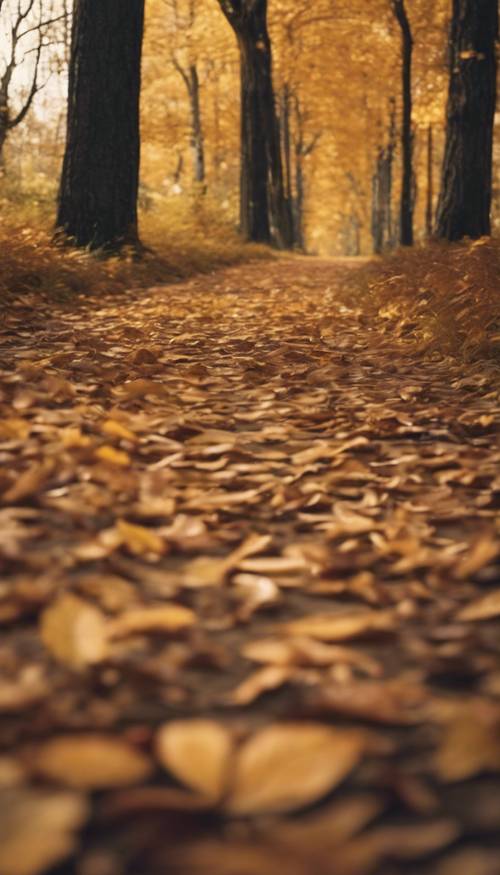 Golden autumn leaves falling on a rustic forest path.