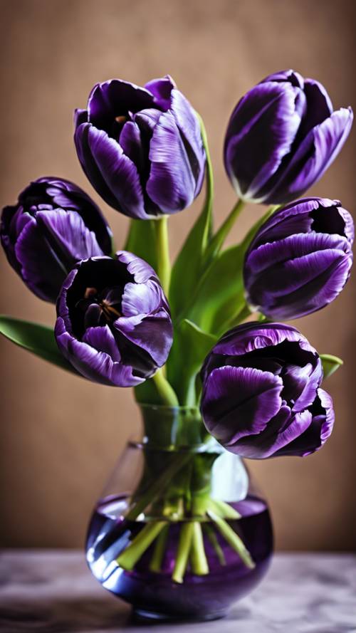 Tulipes noires aux bords violets en pleine floraison dans un vase élégant.