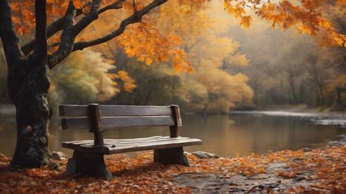 一片宁静的森林，秋叶纷飞，一条宁静的小溪，一张木凳。