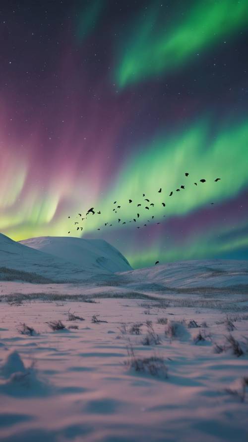 Silhouettes of a flock of birds flying over the tundra under the luminescent Northern Lights