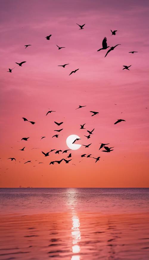 A silhueta de um bando de pássaros tropicais voando para casa sob os tons rosa e laranja do sol poente.