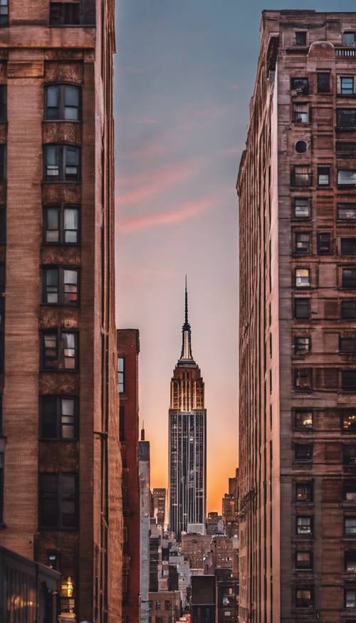 黄昏时分纽约市天际线的全景，帝国大厦在天鹅绒般的夕阳映衬下格外显眼。