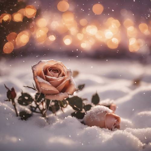 Une prairie calme lors d&#39;une nuit de Noël, une douce couverture de neige sous le ciel rose doré.