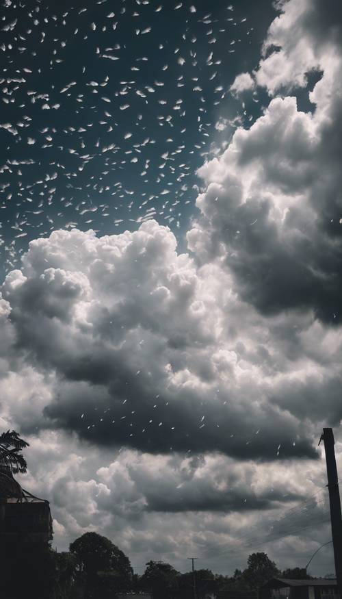 A black sky with white feather-like clouds dispersing after a storm.