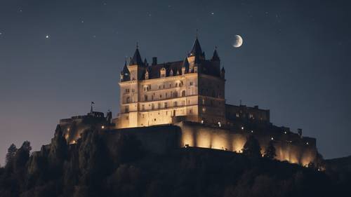 صورة محيرة لقلعة كبيرة تقع على قمة تل، مغمورة في وهج ضوء القمر الشاحب والمهدئ.