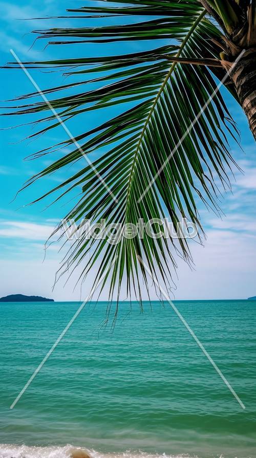 Widok na tropikalną plażę z liściem palmowym