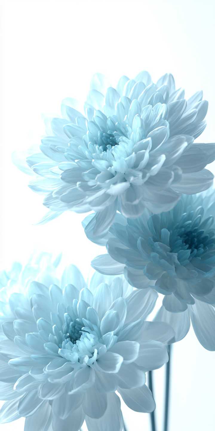download image