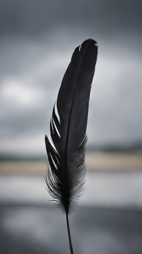 一根孤獨的黑色羽毛落在多雲的灰色天空的背景下。