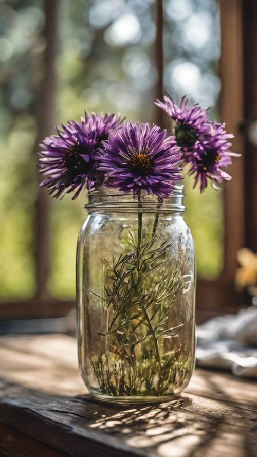 在古色古香的農舍廚房背景下，玻璃瓶中盛放著一朵華麗的黑紫苑。