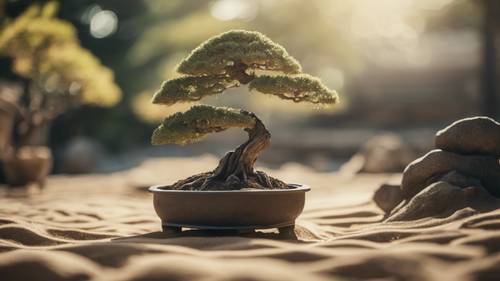 Un albero bonsai nel mezzo di un giardino zen giapponese rastrellato dalla sabbia.