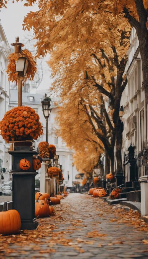 Jalan yang indah di musim gugur, dihiasi dengan dekorasi Halloween yang rapi, seperti ukiran labu dan karangan bunga musim gugur yang cantik.