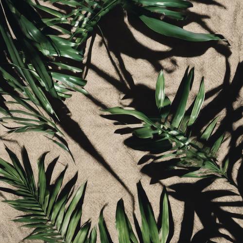 Um grupo de folhas de palmeira tropical agrupadas acima, lançando uma sombra e um desenho em uma toalha de piquenique abaixo delas.