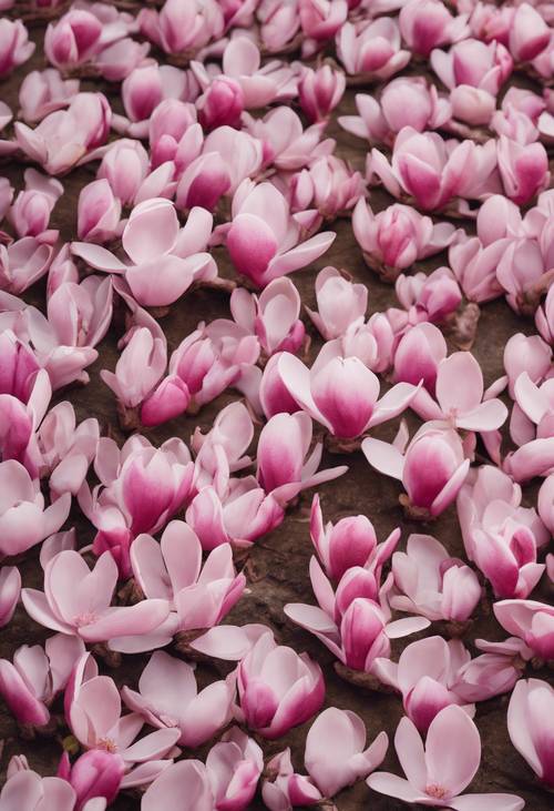 Różowe kwiaty magnolii są rozproszone po całym wzorze, a ich płatki delikatnie unoszą się na wiosennym wietrze.