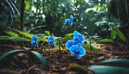 A striking electric blue orchid plant in a natural jungle setting.